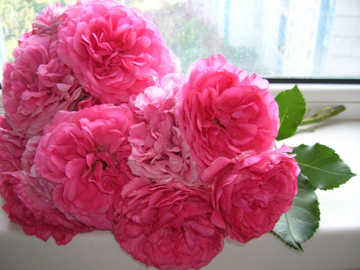 430222 (a): :1600x1200